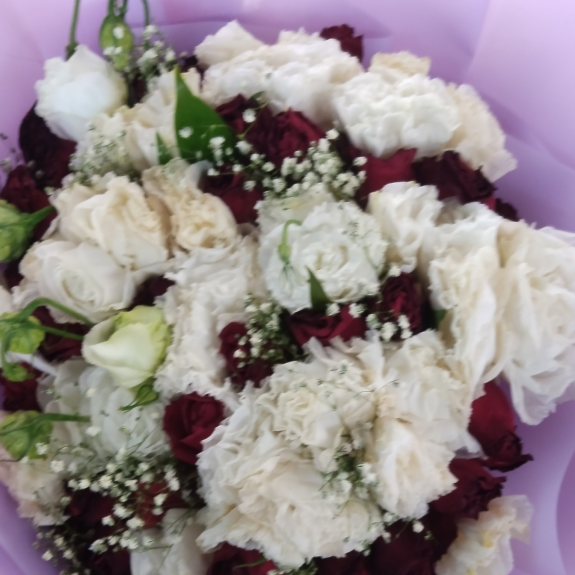 حسن سلیمانی